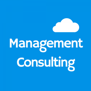 Multiskilled Management Consulting near me
